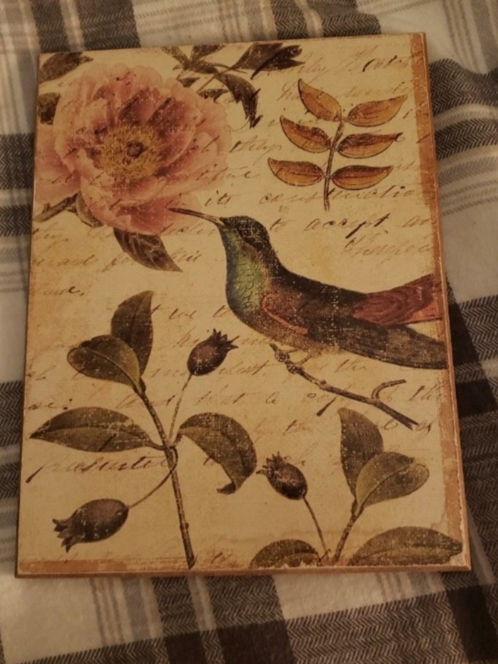 Floral Hummingbird Decorative Wall Art - Vintage Botanical Print